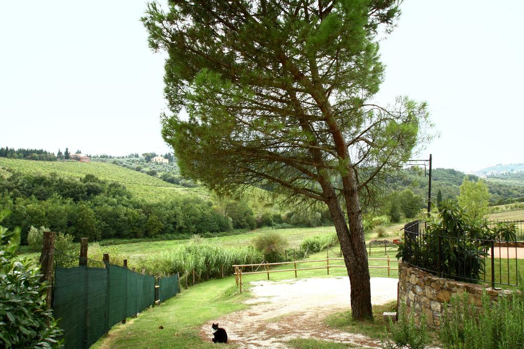 La Gufaia - Holiday House With Private Pool Near Florence 卡尔米尼亚诺 外观 照片