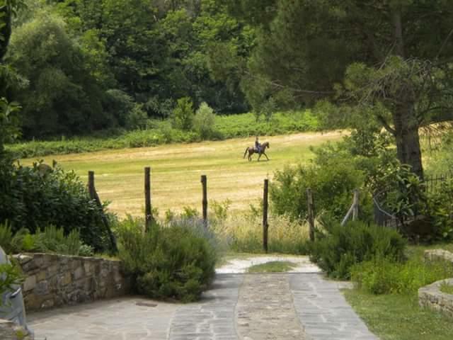 La Gufaia - Holiday House With Private Pool Near Florence 卡尔米尼亚诺 外观 照片